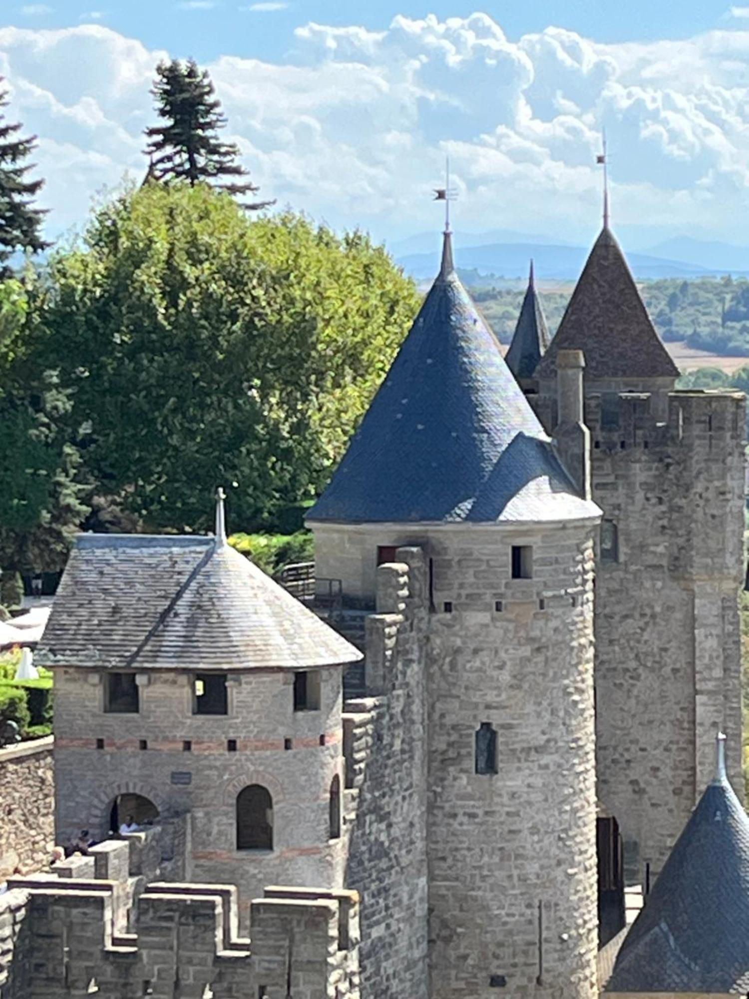 Appartement Tres Calme, Rdc, 800 M De La Cite Medievale Classee Au Patrimoine De L'Unesco Carcassonne Eksteriør bilde